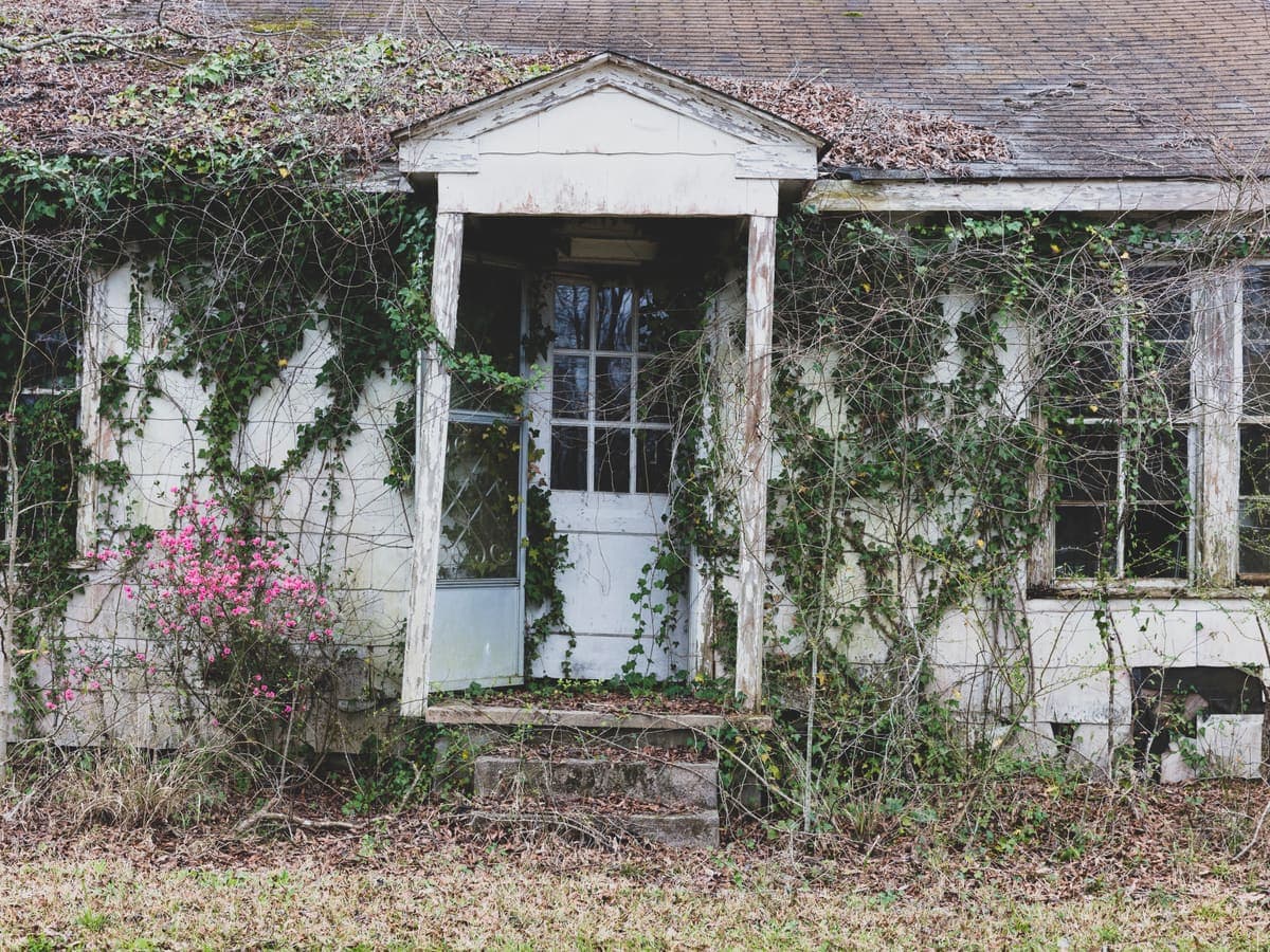A weathered Florida home with overgrown landscaping awaiting renovation